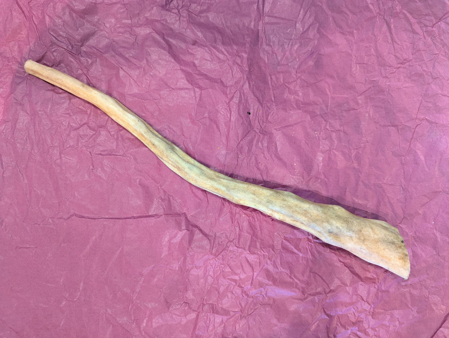 Buffalo Tail (approx 30cm)