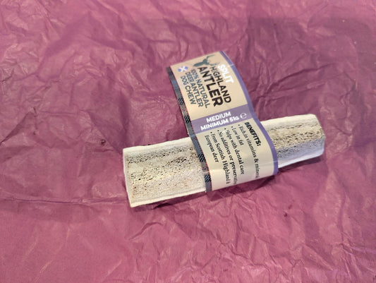 Deer Antler (Split) medium